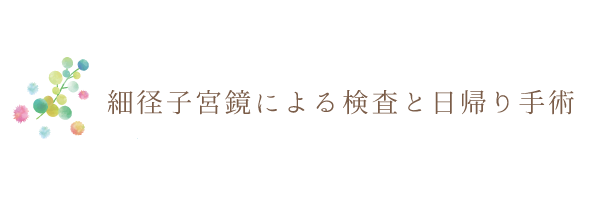 細径子宮鏡による検査と日帰り手術